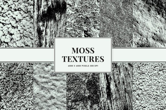 Download Moss Textures - Text Collection